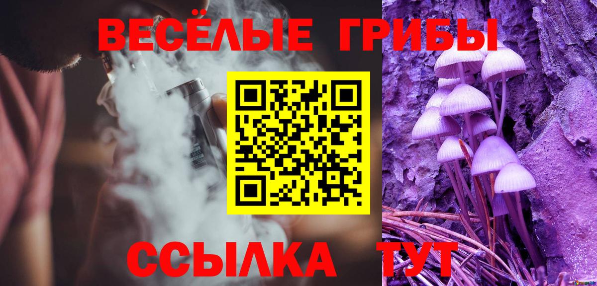 Псилоцибиновые грибы мицелий Златоуст